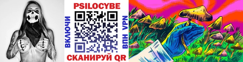 Псилоцибиновые грибы MAGIC MUSHROOMS  сайты даркнета клад  Урень  цены  
